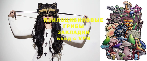 apvp Белокуриха