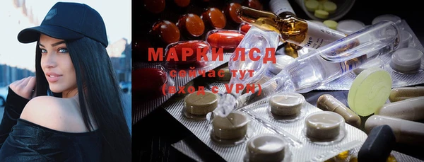 apvp Белокуриха