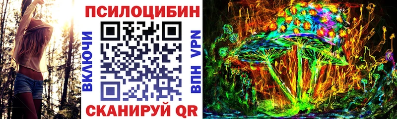 кракен зеркало  Жуковский  Псилоцибиновые грибы GOLDEN TEACHER 